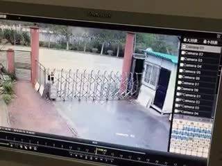 作品
